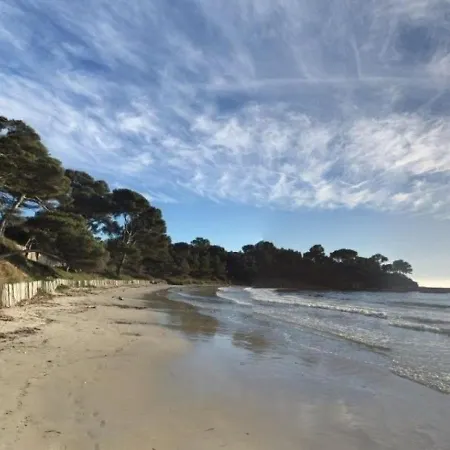 2 Pieces 4 Couchages Les Mimosas 1 * Bormes-les-Mimosas